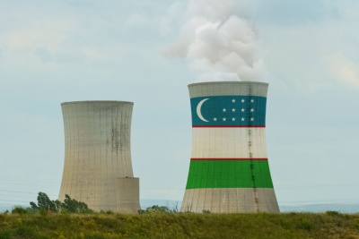 Uzbekistan Nuclear Plant Small